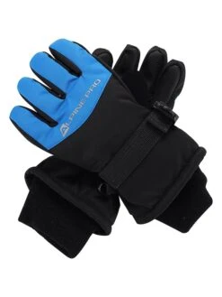 Ski-/snowboardhandschoenen "Lordo" Zwart/blauw