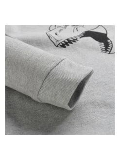 Sweatshirt "Vewo" Grijs -Gstar Kleding Winkel alpine pro sweatshirt vewo grijs 2