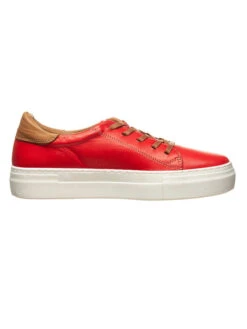 Andrea Conti Leren Sneakers Rood/lichtbruin -Gstar Kleding Winkel andrea conti leren sneakers rood lichtbruin 1
