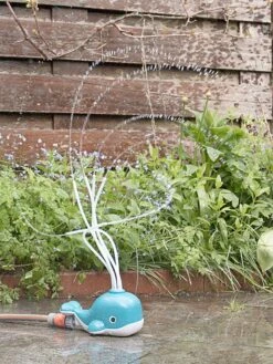 Watersproeier "Whale" - Vanaf 3 Jaar 8 Watersproeier "Whale" - Vanaf 3 Jaar -Gstar Kleding Winkel buitenspeel watersproeier whale vanaf 3 jaar 2