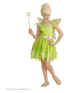 2-delig Kostuum "Fee" Groen