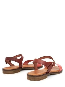 Leren Sandalen Lichtbruin/rood -Gstar Kleding Winkel clka leren sandalen lichtbruin rood 2