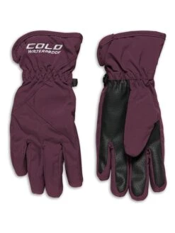 Softshellhandschoenen Pruimkleurig