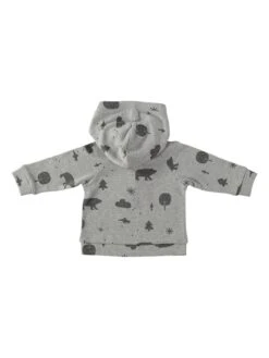 Hoodie Grijs -Gstar Kleding Winkel cotton fish hoodie grijs 1