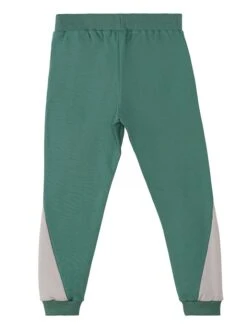 2-delige Outfit "Stegosaurus" Wit/groen 19 2-delige Outfit "Stegosaurus" Wit/groen -Gstar Kleding Winkel denokids 2 delige outfit stegosaurus wit groen 7