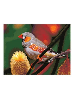 Diamond Painting "Gouldian Finch - Diamond Dotz" - Vanaf 8 Jaar -Gstar Kleding Winkel diamond dotz diamond painting gouldian finch diamond dotz vanaf 8 jaar 1