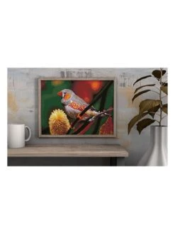 Diamond Painting "Gouldian Finch - Diamond Dotz" - Vanaf 8 Jaar -Gstar Kleding Winkel diamond dotz diamond painting gouldian finch diamond dotz vanaf 8 jaar 3