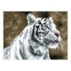 Diamond Painting "Tiger Blanc - Diamond Dotz" - Vanaf 13 Jaar