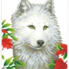 Diamond Painting "White Wolf - Diamond Dotz" - Vanaf 13 Jaar -Gstar Kleding Winkel diamond dotz diamond painting white wolf diamond dotz vanaf 13 jaar