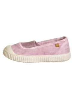 El Naturalista Instappers "Siringa" Lichtroze