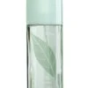 Elizabeth Arden Green Tea - Eau De Parfum, 100 Ml -Gstar Kleding Winkel elizabeth arden green tea eau de parfum 100 ml