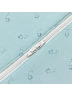 Ergobaby Babyslaapzak "On The Move" Lichtblauw 7 Ergobaby Babyslaapzak "On The Move" Lichtblauw -Gstar Kleding Winkel ergobaby babyslaapzak on the move lichtblauw 2