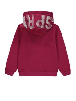 ESPRIT Hoodie Pruimkleurig -Gstar Kleding Winkel esprit hoodie pruimkleurig 1