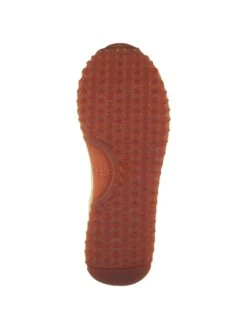 Leren Sneakers "Bevinda" Beige/wit -Gstar Kleding Winkel gant footwear leren sneakers bevinda beige wit 5