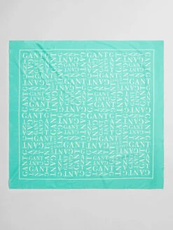 Gant Sjaal Turquoise