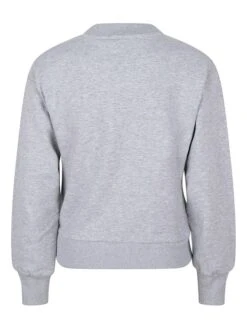 Sweatshirt "College Indian" Grijs -Gstar Kleding Winkel indian blue jeans sweatshirt college indian grijs 1