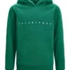 Jack & Jones Junior Hoodie "Copenhagen" Groen -Gstar Kleding Winkel jack and jones junior hoodie copenhagen groen