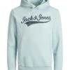 Jack & Jones Junior Hoodie "Logo" Lichtblauw -Gstar Kleding Winkel jack and jones junior hoodie logo lichtblauw