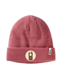 Jack Wolfskin Muts "Night Hawk" Beskleurig