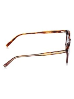 Lacoste Unisekszonnebril Havana -Gstar Kleding Winkel lacoste unisekszonnebril havana 2