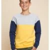 Sweatshirt Grijs/geel/donkerblauw -Gstar Kleding Winkel lamino sweatshirt grijs geel donkerblauw