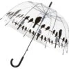 Paraplu "Birds" Transparant/zwart - Ø 83 Cm
