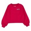 Sweatshirt Beskleurig -Gstar Kleding Winkel levis kids sweatshirt beskleurig