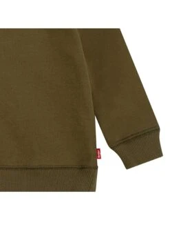 Sweatshirt Kaki -Gstar Kleding Winkel levis kids sweatshirt kaki 4