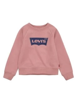 Sweatshirt Lichtroze