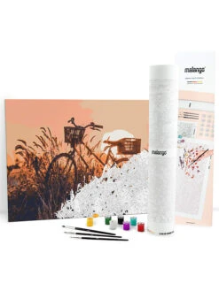 Schilderen-op-nummer-set "Fiets In Zonnig Veld" - Vanaf 14 Jaar