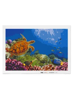 Schilderen-op-nummer-set "Kleurige Zeebodem" - Vanaf 14 Jaar -Gstar Kleding Winkel malango schilderen op nummer set kleurige zeebodem vanaf 14 jaar 1