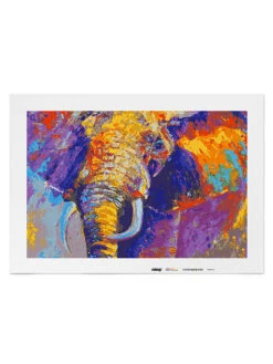 Schilderen-op-nummer-set "Kleurrijke Olifant" - Vanaf 14 Jaar -Gstar Kleding Winkel malango schilderen op nummer set kleurrijke olifant vanaf 14 jaar 1
