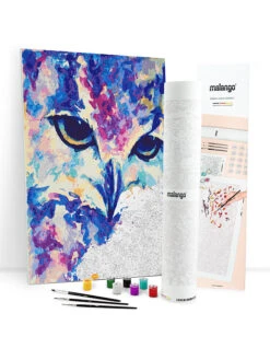 Schilderen-op-nummer-set "Kleurrijke Uil" - Vanaf 14 Jaar