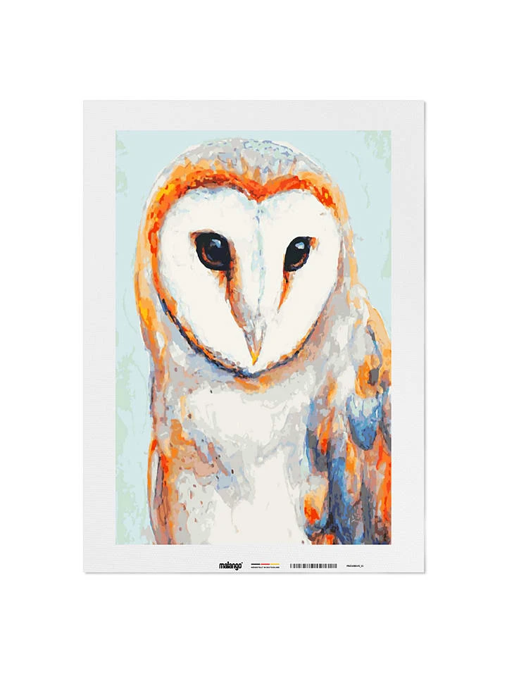 Schilderen-op-nummer-set "Sierlijke Kerkuil" - Vanaf 14 Jaar 4 Schilderen-op-nummer-set "Sierlijke Kerkuil" - Vanaf 14 Jaar - Afbeelding 2