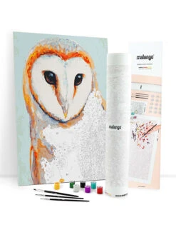 Schilderen-op-nummer-set "Sierlijke Kerkuil" - Vanaf 14 Jaar