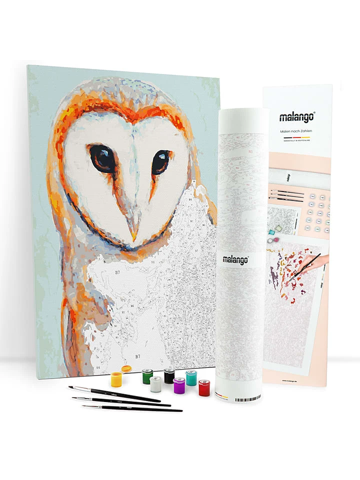 Schilderen-op-nummer-set "Sierlijke Kerkuil" - Vanaf 14 Jaar 3 Schilderen-op-nummer-set "Sierlijke Kerkuil" - Vanaf 14 Jaar