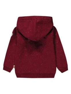 Hoodie Rood -Gstar Kleding Winkel mother nature and me hoodie rood 1