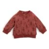 Moulin Roty Sweatshirt "Elliot" -Gstar Kleding Winkel moulin roty sweatshirt elliot