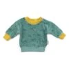 Moulin Roty Sweatshirt "Gaetan" Groen/geel -Gstar Kleding Winkel moulin roty sweatshirt gaetan groen geel