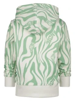 Raizzed Hoodie "Arizona" Groen/wit -Gstar Kleding Winkel raizzed r hoodie arizona groen wit 1