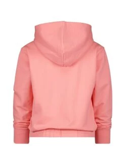Raizzed Hoodie "Faro" Lichtroze -Gstar Kleding Winkel raizzed r hoodie faro lichtroze 1
