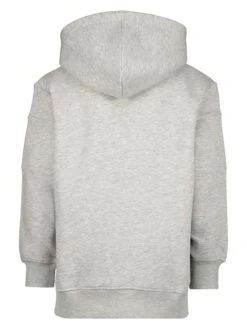 Raizzed Hoodie "Newark" Grijs -Gstar Kleding Winkel raizzed r hoodie newark grijs 1