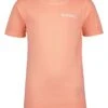 Raizzed Shirt "Harden" Oranje -Gstar Kleding Winkel raizzed r shirt harden oranje