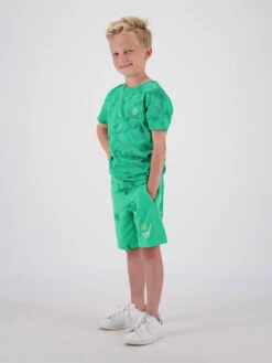 Raizzed Shirt "Shields" Groen -Gstar Kleding Winkel raizzed r shirt shields groen 2