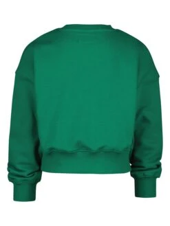 Raizzed Sweatshirt "Lincoln" Groen -Gstar Kleding Winkel raizzed r sweatshirt lincoln groen 1