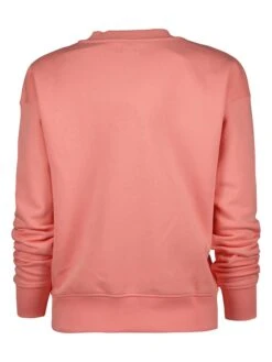 Raizzed Sweatshirt "Noah" Abrikooskleurig -Gstar Kleding Winkel raizzed r sweatshirt noah abrikooskleurig 1