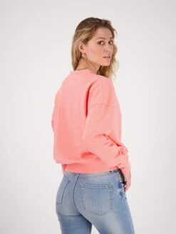 Raizzed Sweatshirt "Noah" Abrikooskleurig -Gstar Kleding Winkel raizzed r sweatshirt noah abrikooskleurig 3