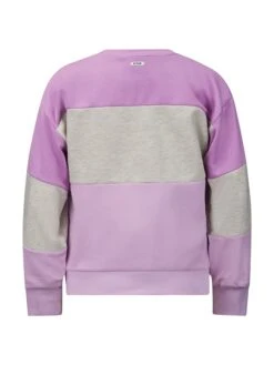 Sweatshirt "Naomi" Paars/grijs -Gstar Kleding Winkel retour sweatshirt naomi paars grijs 1