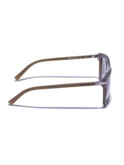 Salvatore Ferragamo Dameszonnebril Kaki/grijs -Gstar Kleding Winkel salvatore ferragamo dameszonnebril kaki grijs 1