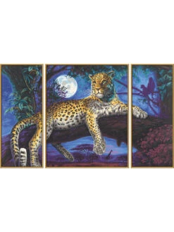 3-delige Schilderen-op-nummer-set "Afrika - Jager In De Nacht" - Vanaf 12 Jaar -Gstar Kleding Winkel schipper 3 delige schilderen op nummer set afrika jager in de nacht vanaf 12 jaar 1